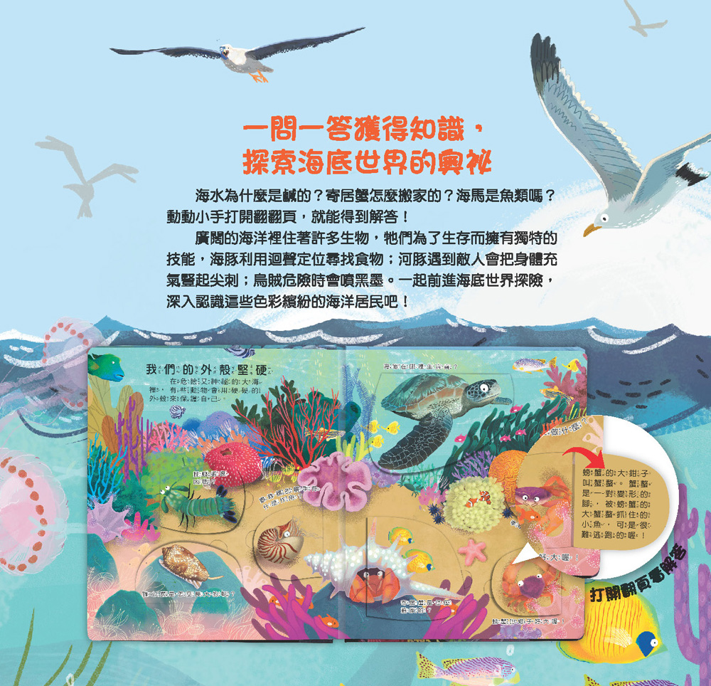 你問我答翻翻書：大海藏著小祕密？